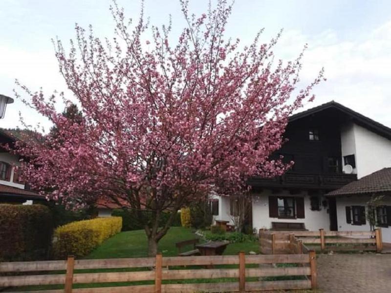 Gipfelblick Am Woessenerbach Apartamento Unterwössen Exterior foto